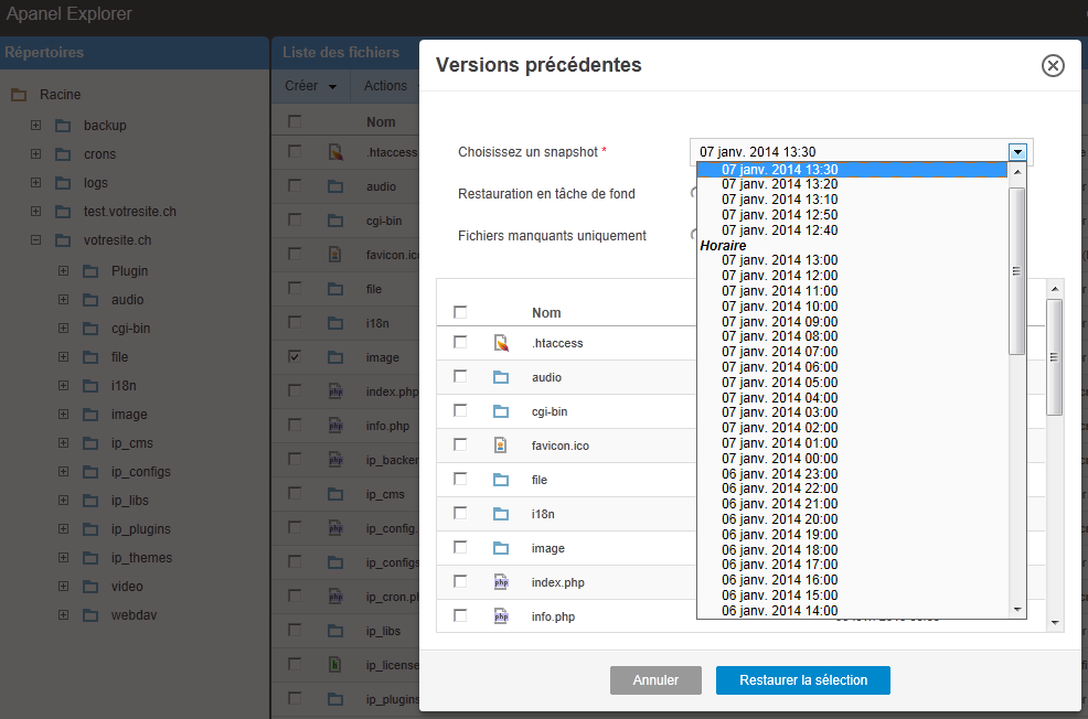 Restoring a previous version from the file manager